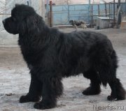 Превью фото № 140991