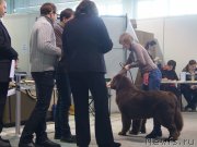 Превью фото № 141062