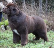 Превью фото № 141103