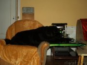 Превью фото № 141106