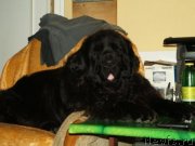 Превью фото № 141107