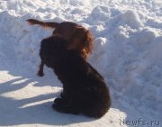 Превью фото № 141108