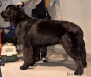 Превью фото № 141110