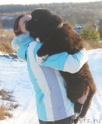 Превью фото № 141149