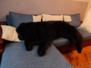 Превью фото № 141150