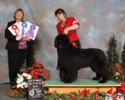 Превью фото № 141227