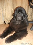 Превью фото № 141243