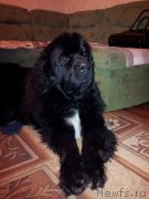 Превью фото № 141340