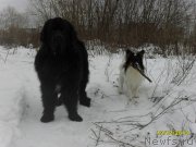 Превью фото № 141367