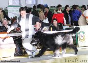 Превью фото № 141428