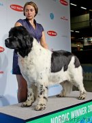 Превью фото № 141439