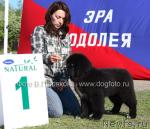 Превью фото № 14148