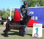 Превью фото № 14150