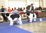 Превью фото № 141503