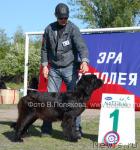 Превью фото № 14152