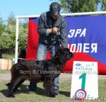 Превью фото № 14153