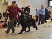 Превью фото № 141535