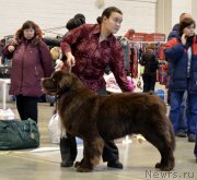 Превью фото № 141537