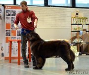 Превью фото № 141538