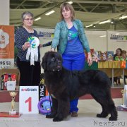 Превью фото № 141584