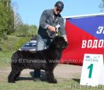 Превью фото № 14159