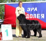 Превью фото № 14163