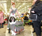 Превью фото № 141642