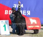 Превью фото № 14166