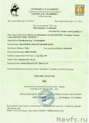 Превью фото № 141718