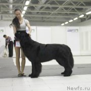 Превью фото № 141729