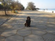 Превью фото № 141772