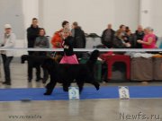 Превью фото № 141821