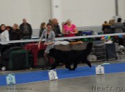 Превью фото № 141824