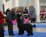 Превью фото № 141826