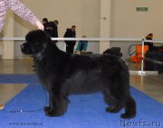 Превью фото № 141840