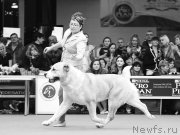 Превью фото № 141846