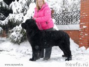 Превью фото № 141854