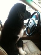 Превью фото № 141868