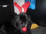 Превью фото № 141875