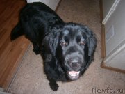 Превью фото № 141885