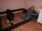 Превью фото № 141886