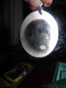 Превью фото № 141893