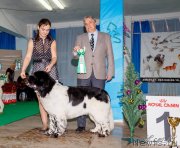 Превью фото № 141896