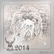 Превью фото № 141912