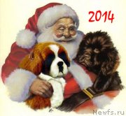 Превью фото № 141913