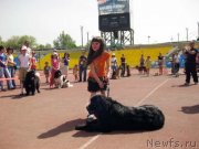 Превью фото № 141979