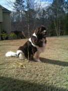 Превью фото № 142153