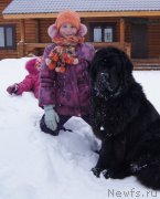 Превью фото № 142160