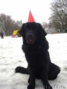 Превью фото № 142181