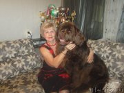 Превью фото № 142182